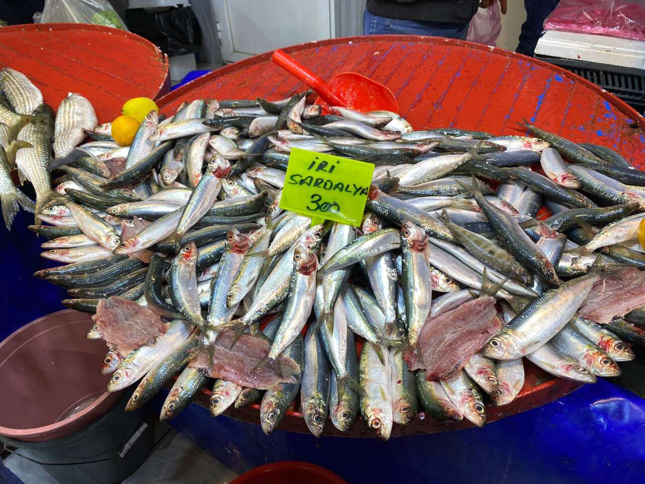 Menteşe’de Balığa Yoğun İlgi: Tezgahlarda Fiyatlar 250 Liradan Başlıyor 4